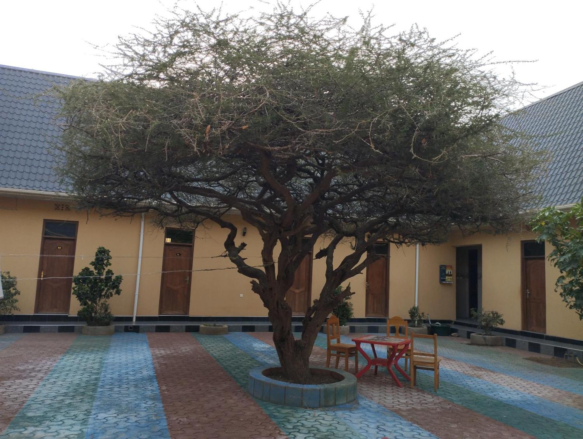Lake Eyasi Safari Motel Mangola 외부 사진
